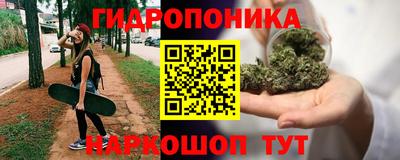 a pvp Кунгур