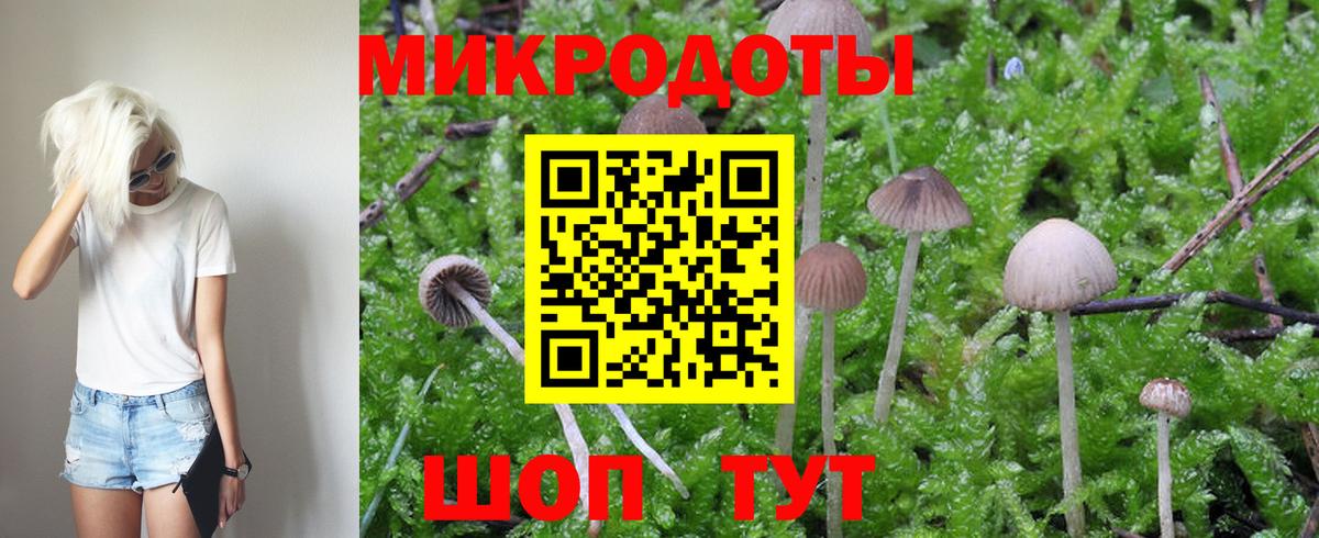 Галлюциногенные грибы MAGIC MUSHROOMS  Вход с VPN  Йошкар-Ола  Псилоцибиновые грибы Psilocybine cubensis 